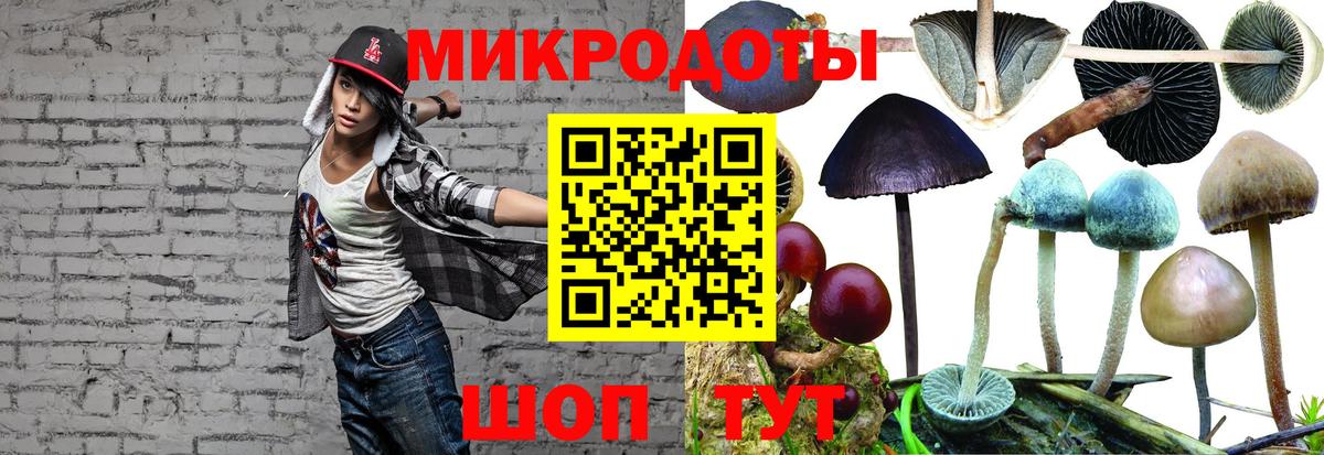 Псилоцибиновые грибы Psilocybine cubensis  Вход с VPN  Белово 