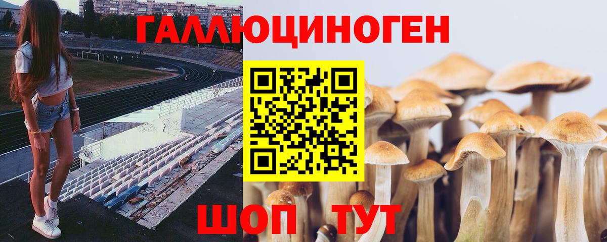 Псилоцибиновые грибы прущие грибы Белово